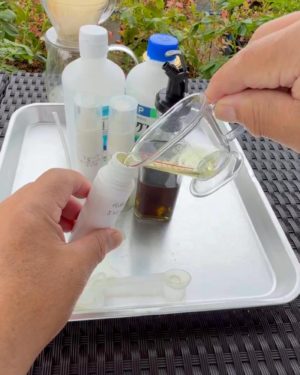 化粧水ボトルに入れる