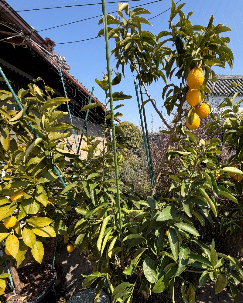 2026年2月のリノカ