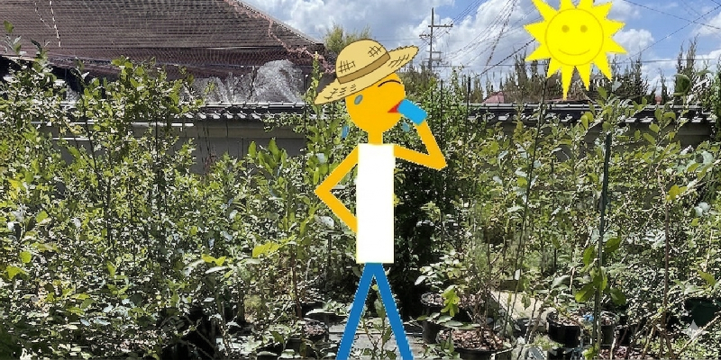 重曹クエン酸水の作り方