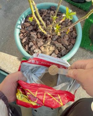 ハイポネックス有機施肥