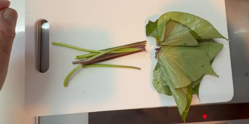 サツマイモの葉茎
