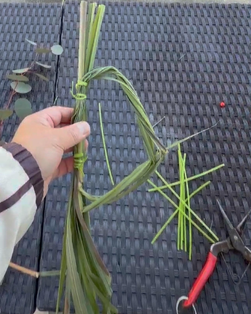 レモングラスの輪