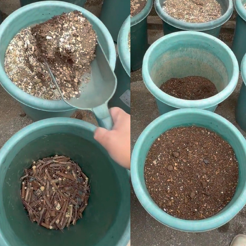 古い土を3/4入れる