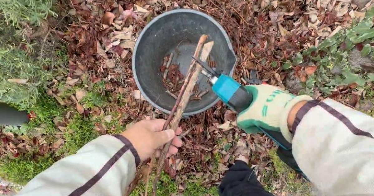 SPGDSPSY電動剪定ハサミ