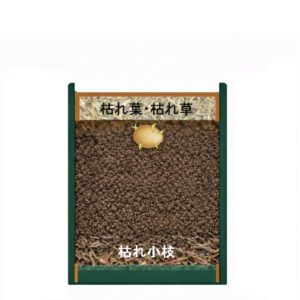 12号20ℓ鉢に１個の種イモを植える