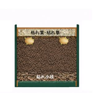 25ℓ鉢に種イモを2個植える