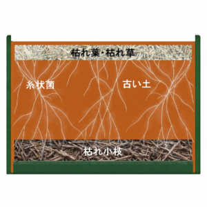 菌ちゃんプランターの糸状菌