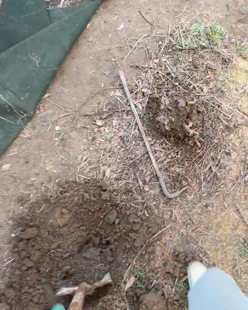 防草シートの下のカチカチの地面