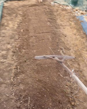 土を乗せて畝を作る