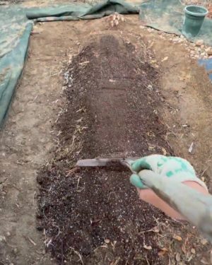 枯草の上に土を乗せて畝を仕上げる