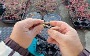 ピンは、片側に180度、反対側に150度曲がる。180度曲がる側で固定する