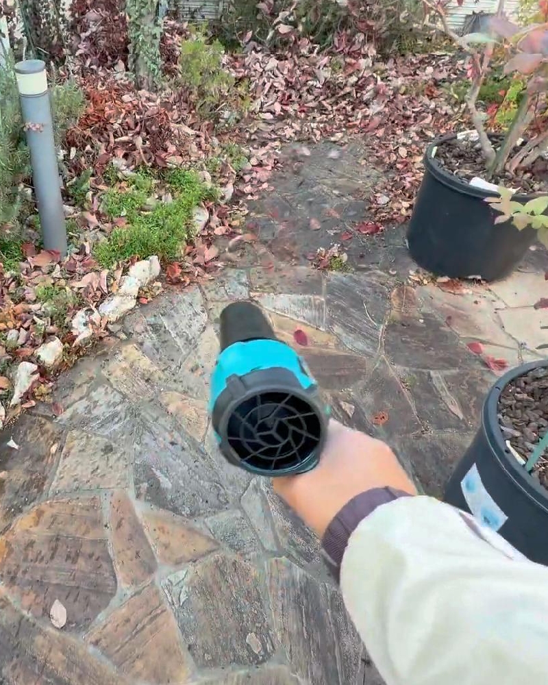 鉢と鉢の間の清掃