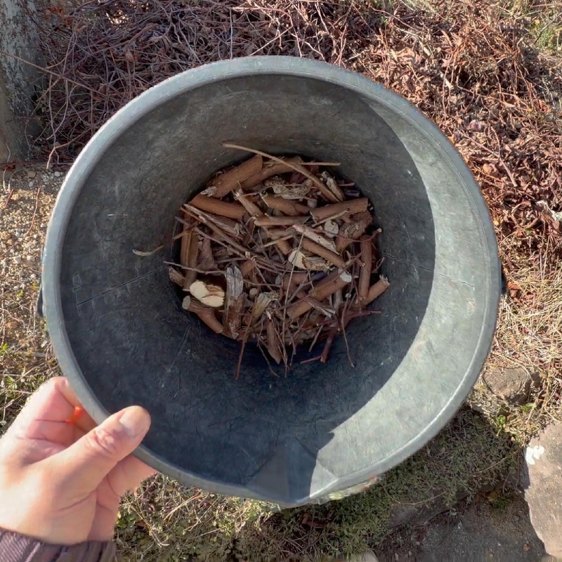 枯れ枝を5cm前後に裁断