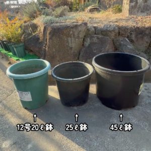 20ℓ鉢と25ℓ鉢と45ℓ鉢