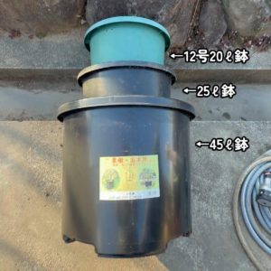 20ℓ鉢と25ℓ鉢と45ℓ鉢