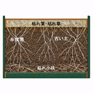 菌ちゃんプランターのふかふか土