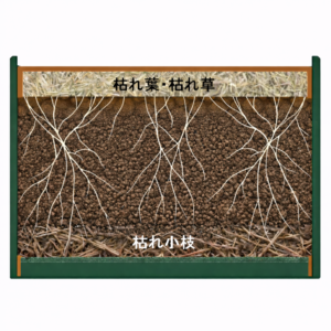 菌ちゃんプランターが糸状菌でふかふか