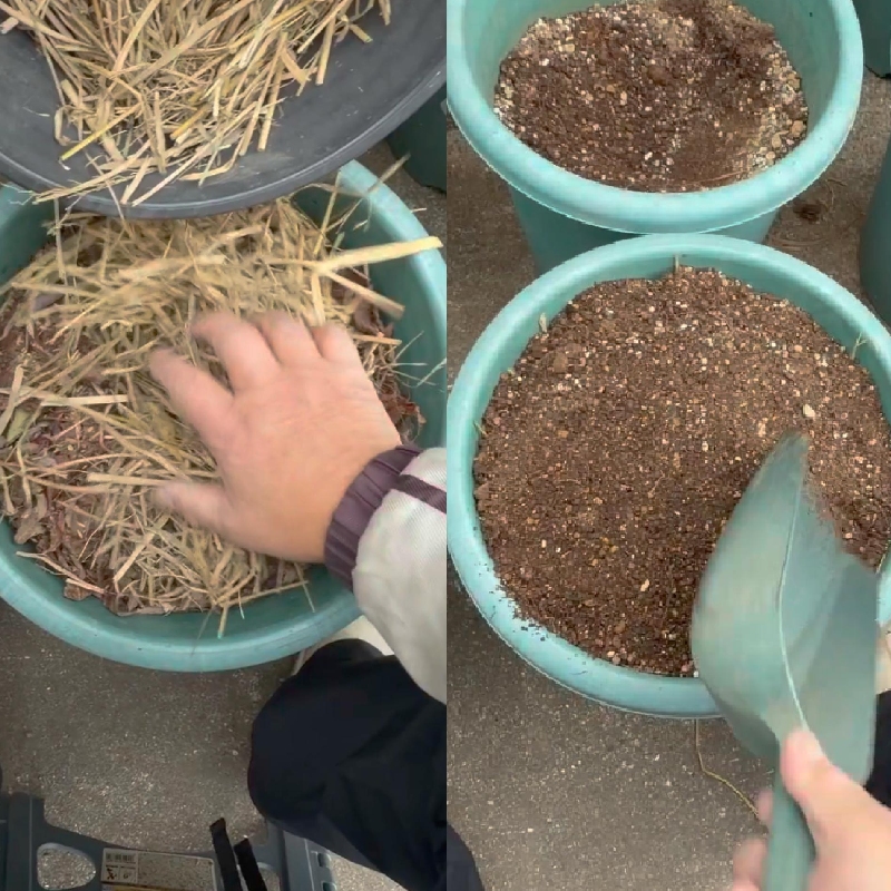 枯れ葉・枯草・稲わらを乗せ、古い土を被せる