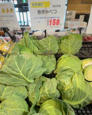 スーパーのキャベツ価格